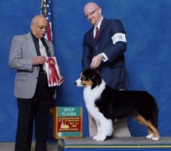 Ch Bayshore Stonehaven Rapture