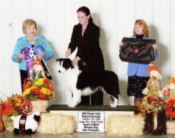 Ch Bayshore's Cast A Spell, HT PT