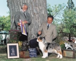 Ch. Bayshore Russian Roulette