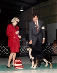 Ch Bayshore's E-I-E-I-O