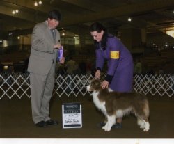 Bayshore's Sam I Am Of Avatar PT