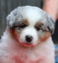 Stonehaven Bayshore Sticker Shock