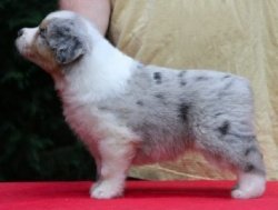 Stonehaven Bayshore Sticker Shock