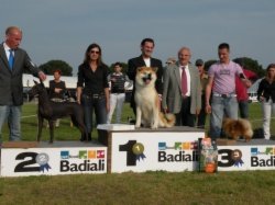 Bayshore Stonehaven Lil'Kim