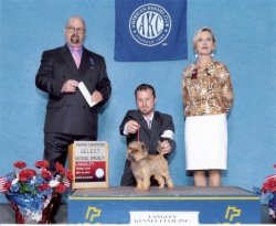 CH Watermark Bayshore Ms Moneypenny