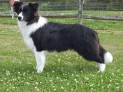 Bayshore Love Potion At Avatar