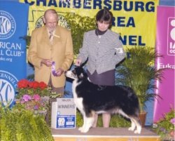 Ch Bayshore's Make Beleive