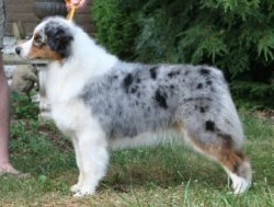 Stonehaven Bayshore Sticker Shock