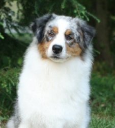 Stonehaven Bayshore Sticker Shock