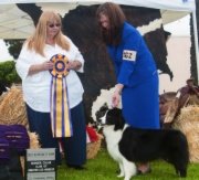 Best Of Breed GCBCC Specialty