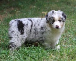 Bayshore Stonehaven Up In Lights