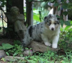 Bayshore Stonehaven Up In Lights