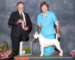 ChToutchstone Absolut Passion