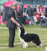 Bayshore Avatar Tobiono, 2010 Jr World Winner Denmark