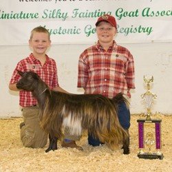 Reserve Grand Champion Jr Doe