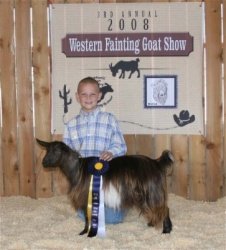 Grand Champion Jr Doe