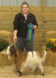 Bayhore's Pierres Sister