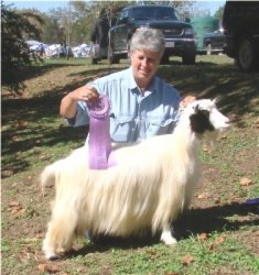 Reserve chamion Senior doe