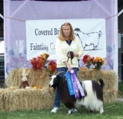 MCH Bayshore's Daisy Duke