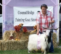 MCH Bayshore's Bad Boy