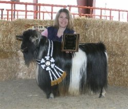 MCH Bayshore's Brandon