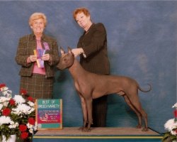 Ch Bayshore's Georgio Armani