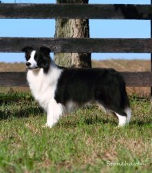 Photo by Stonehaven Photography