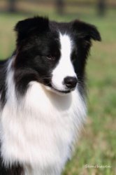 Photo by Stonehaven Photography