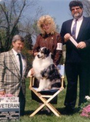 Beaver won the Veteran Bitch Class under Breeder/Judge Mr. Steven Gladstone 