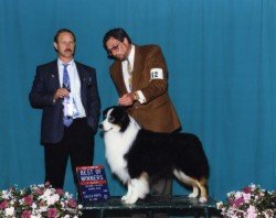 Multi Ch. Bayshore Three To Get Ready CD STD DS