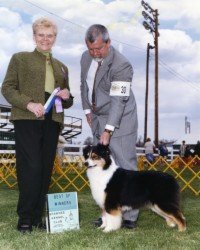Ch. Bayshore's Peppermint Patty