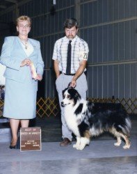 Ch. Bayshore Pequenos Keebleros