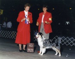 Ch.Bayshore Jones New York