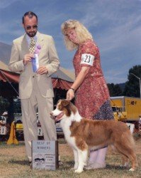 Ch. Bayshore Ladybug