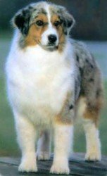 Co-owned With Leon Goetz