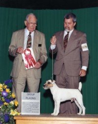 BISS Ch. Howlbeck Uno-Who JE