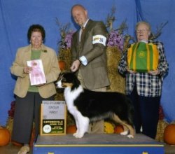 Ch Bayshore Stonehaven Rapture