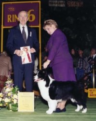 Ch. Trumagik Toucho Class