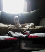 Maybe's favorite spot