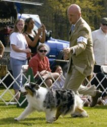 Ch Stonehaven Bayshore Simple Life