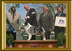 Ch Stonehaven Bayshore Simple Life