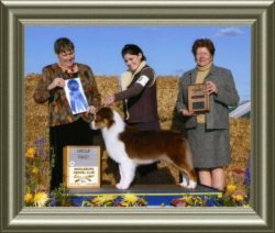 Ch Rosemere's Cha Cha Cha