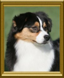 Bayshore's Finding Neverland