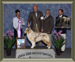 Ch Rosemere Dragonfly at Bayshore