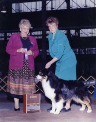 Ch. Bayshore Propwash Balderdash