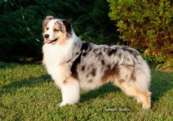 Photo by Paula Waterman.
