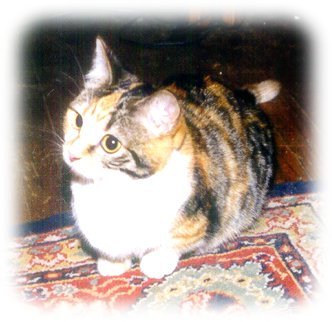 Click on Image to enlarge